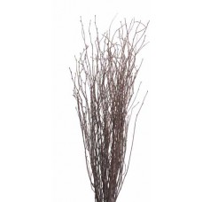 BIRCH BRANCHES 3'-4' (BULK) Natural (  New Pack)